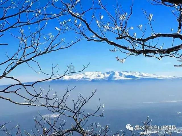 解救漂亮小姑娘