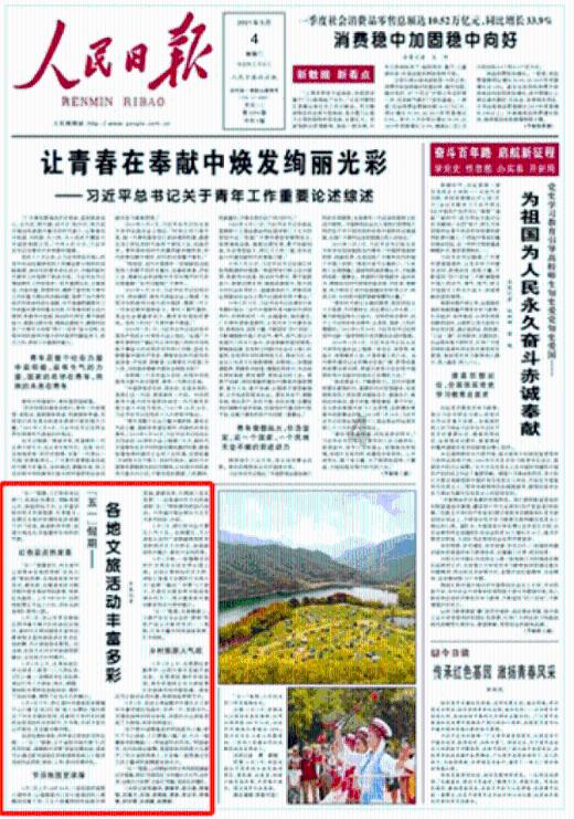 使命召唤OL